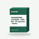 GANODERMA LUCIDUM - LING ZHI - 60 cápsulas - Vitafor (imagem ilustrativa)