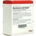 BACTERIUM COLI Injeel Ampolas