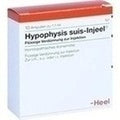 HYPOPHYSIS SUIS Injeel Ampolas