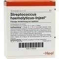 STREPTOCOCCUS HAEMOLYTICUS Injeel Ampolas