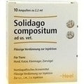 SOLIDAGO COMPOSITUM ad us,vet,Ampolas