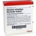 HERPES SIMPLEX Nosode Injeel Ampolas