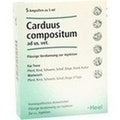 CARDUUS COMPOSITUM ad us,vet,Ampolas