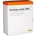 SOLIDAGO COMP,Heel Ampolas