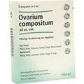 OVARIUM COMPOSITUM ad us,vet,Ampolas